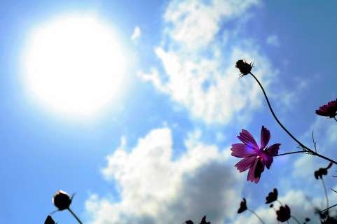 もやもやがスッキリして晴れやか