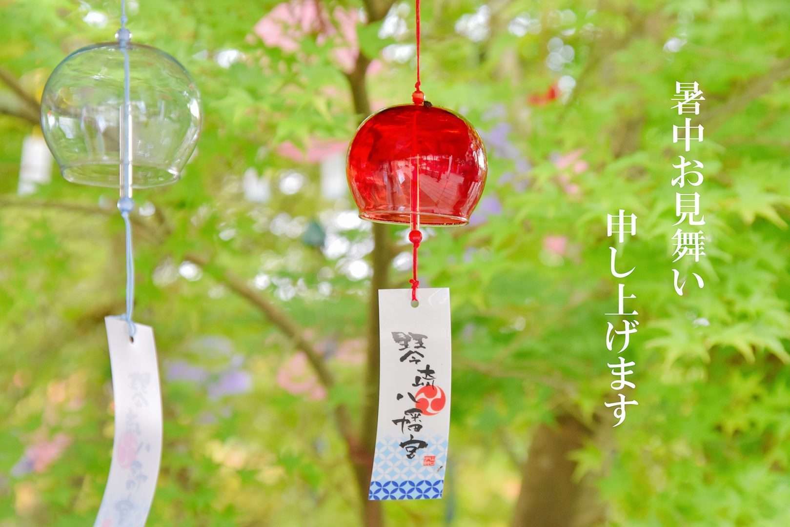 保護中: メルマガ第73回　暑中お見舞い申し上げます 　2024年7月31日配信