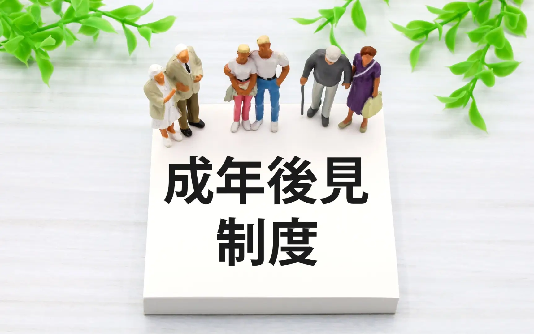 成年後見制度とは？親亡き後に備えて家族が知っておきたい基礎知識